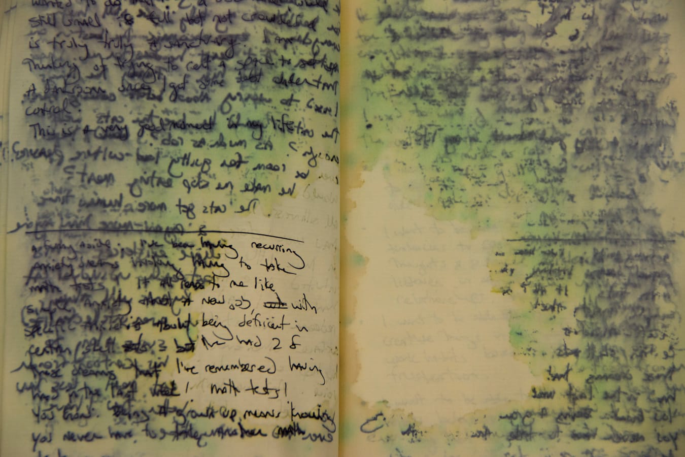 Untitled, from the series Waterlogged, by Stacy Platt