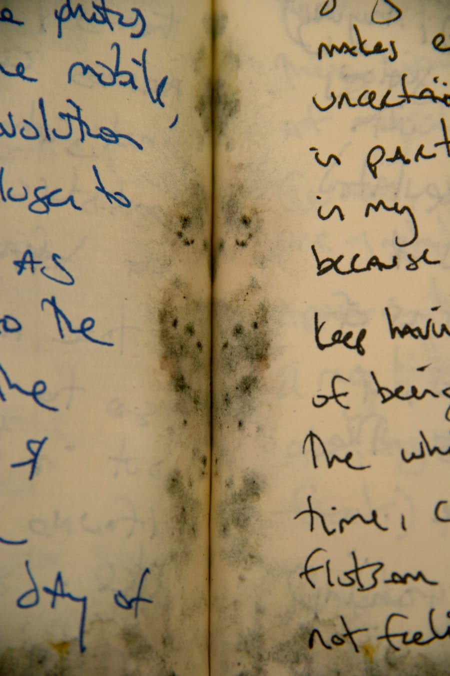 Untitled, from the series Waterlogged, by Stacy Platt