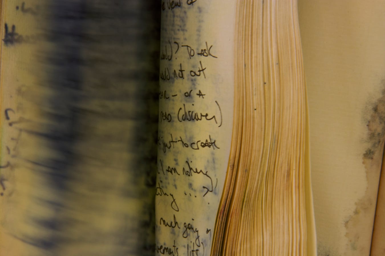 Untitled, from the series Waterlogged, by Stacy Platt