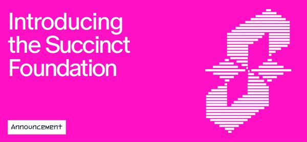 Introducing the Succinct Foundation