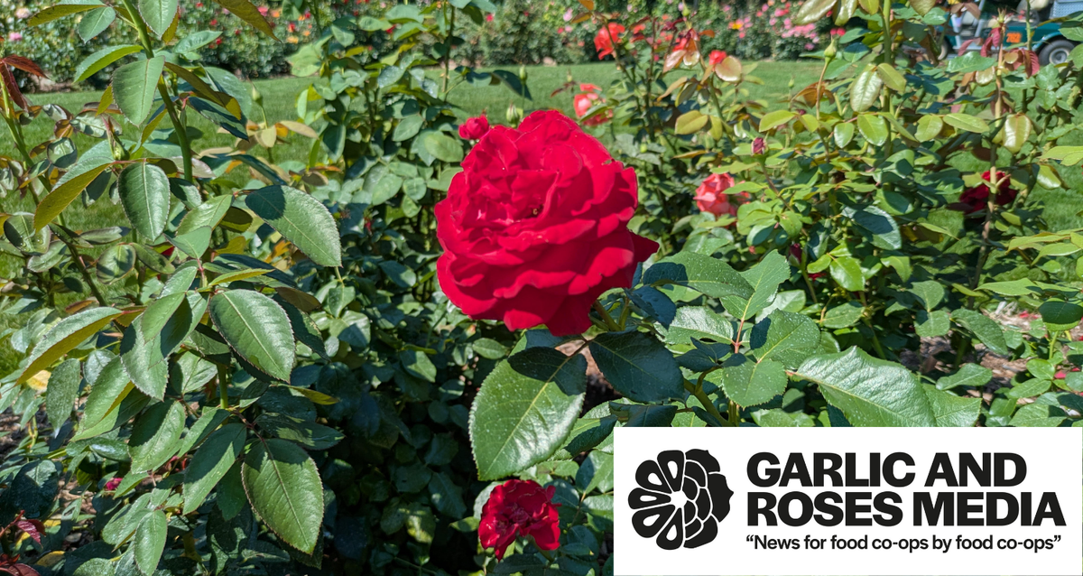 Welcome to Garlic and Roses