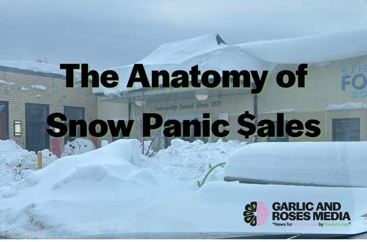 The Anatomy of Snow Panic Sales