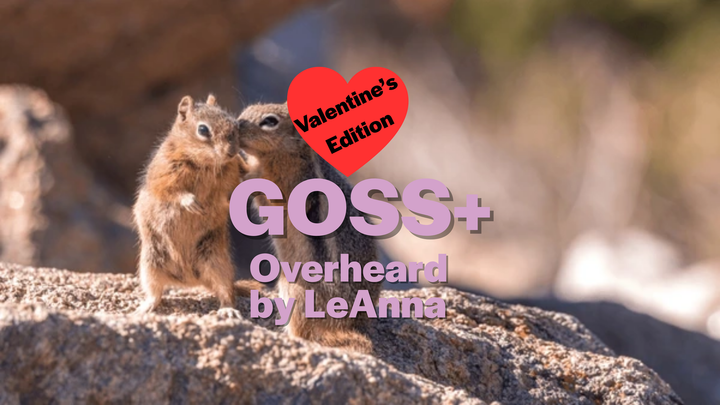 Goss+ Valentine's Edition