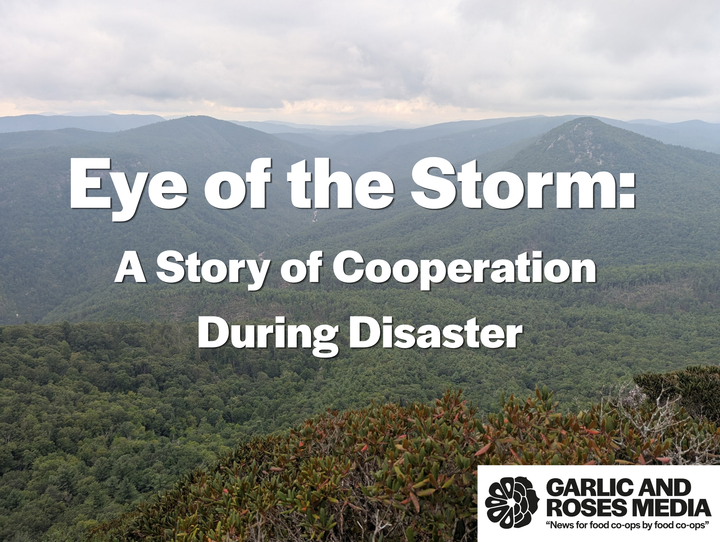 Eye of the Storm: A Story of Cooperation During Disaster