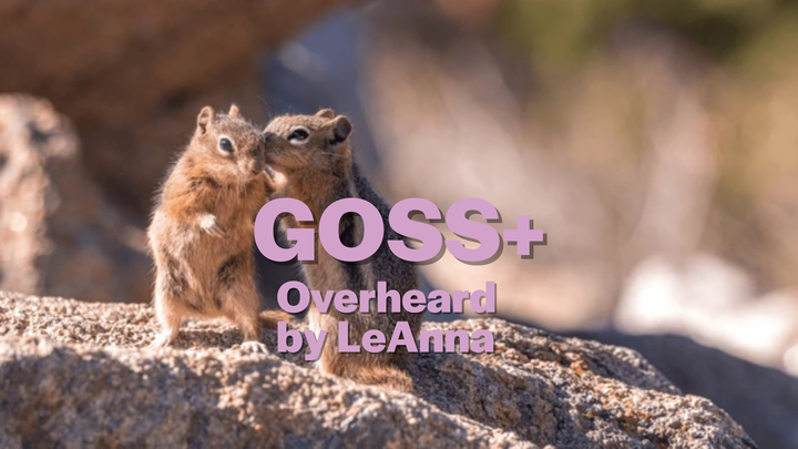 Goss+ 8/25