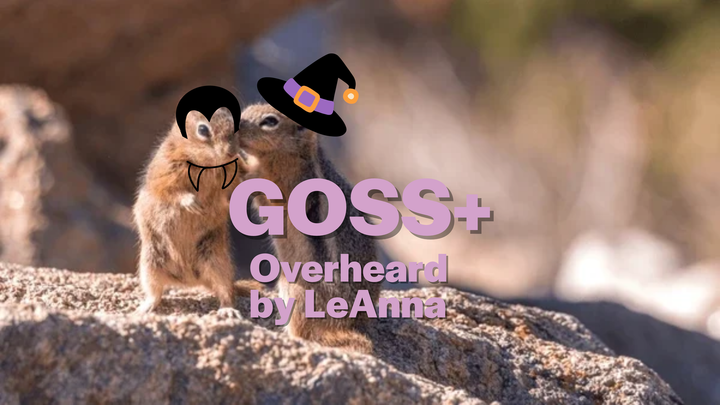 Goss+ Gourd to Death