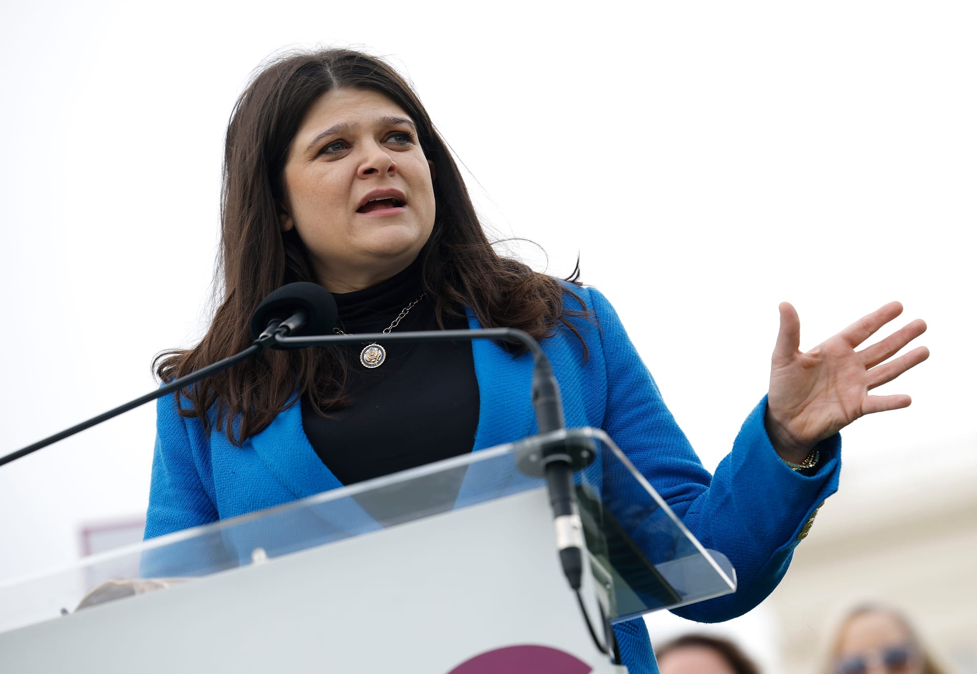 Shadow Super PAC Tied to Lobbyist Drops $1M for Haley Stevens
