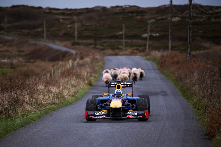 HOT SHOTS: David Coulthard