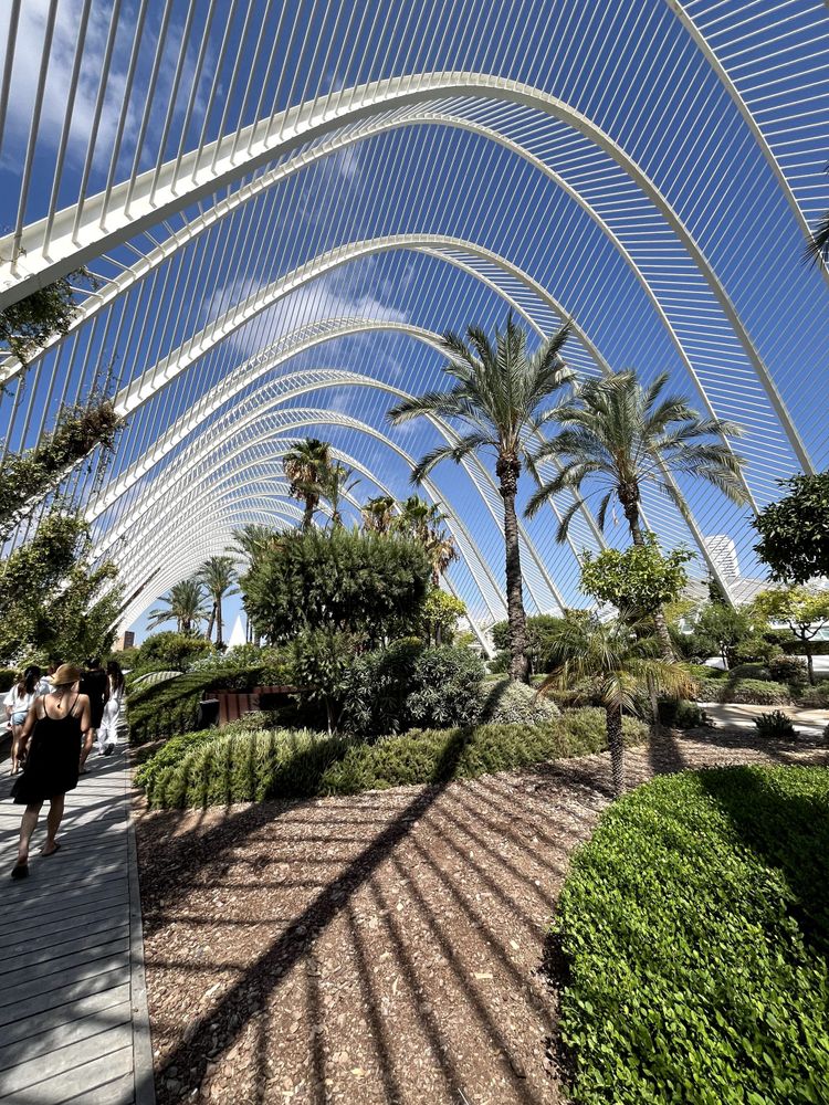 Peace Paella, Ciao Pasta