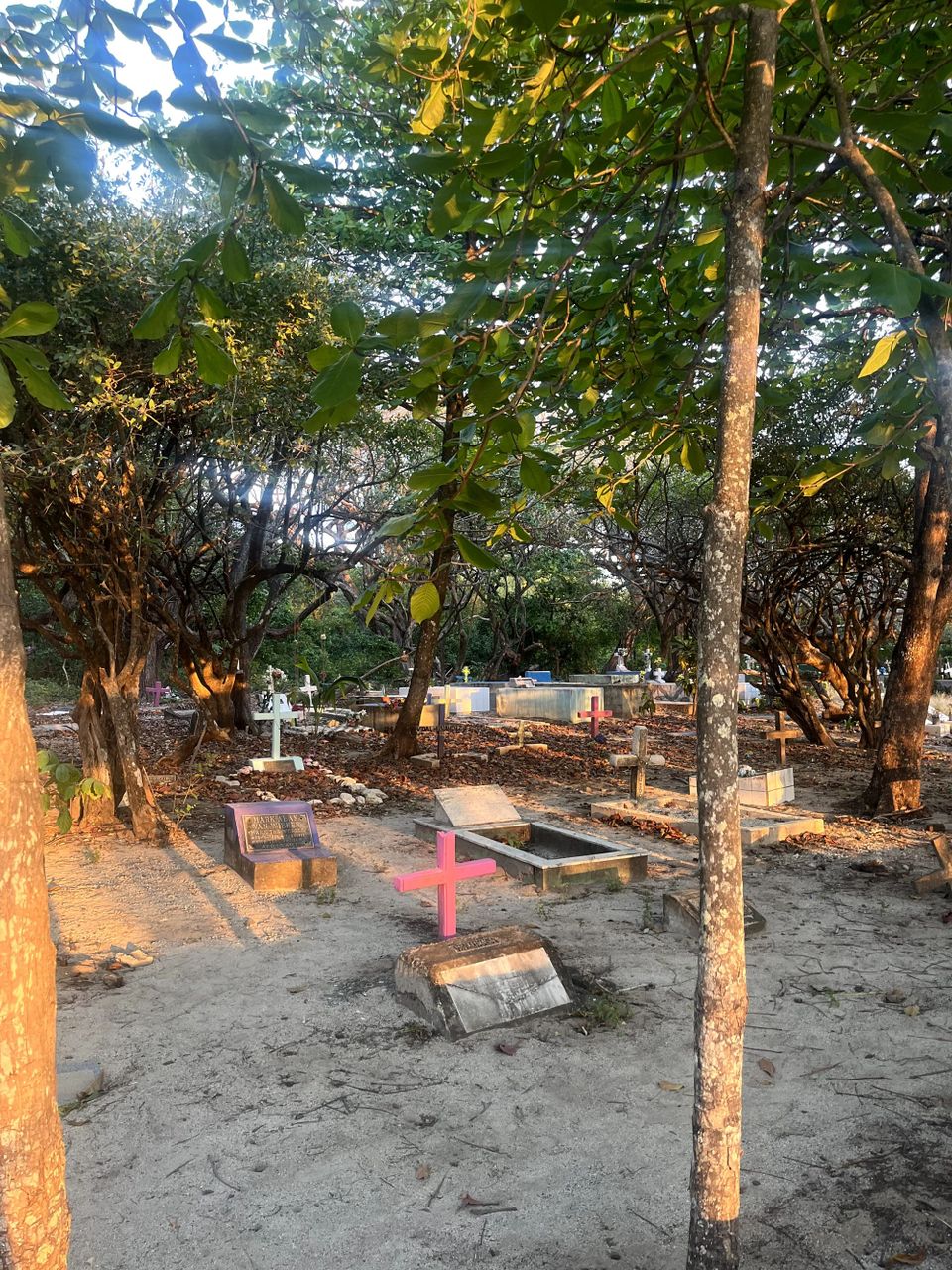 Surfin, Sunsets and more of the Same