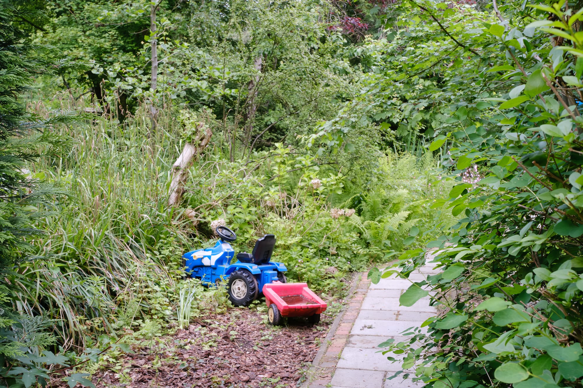 Blue toy tractor with a red trailer parked on an overgrown garden path in Amsterdam