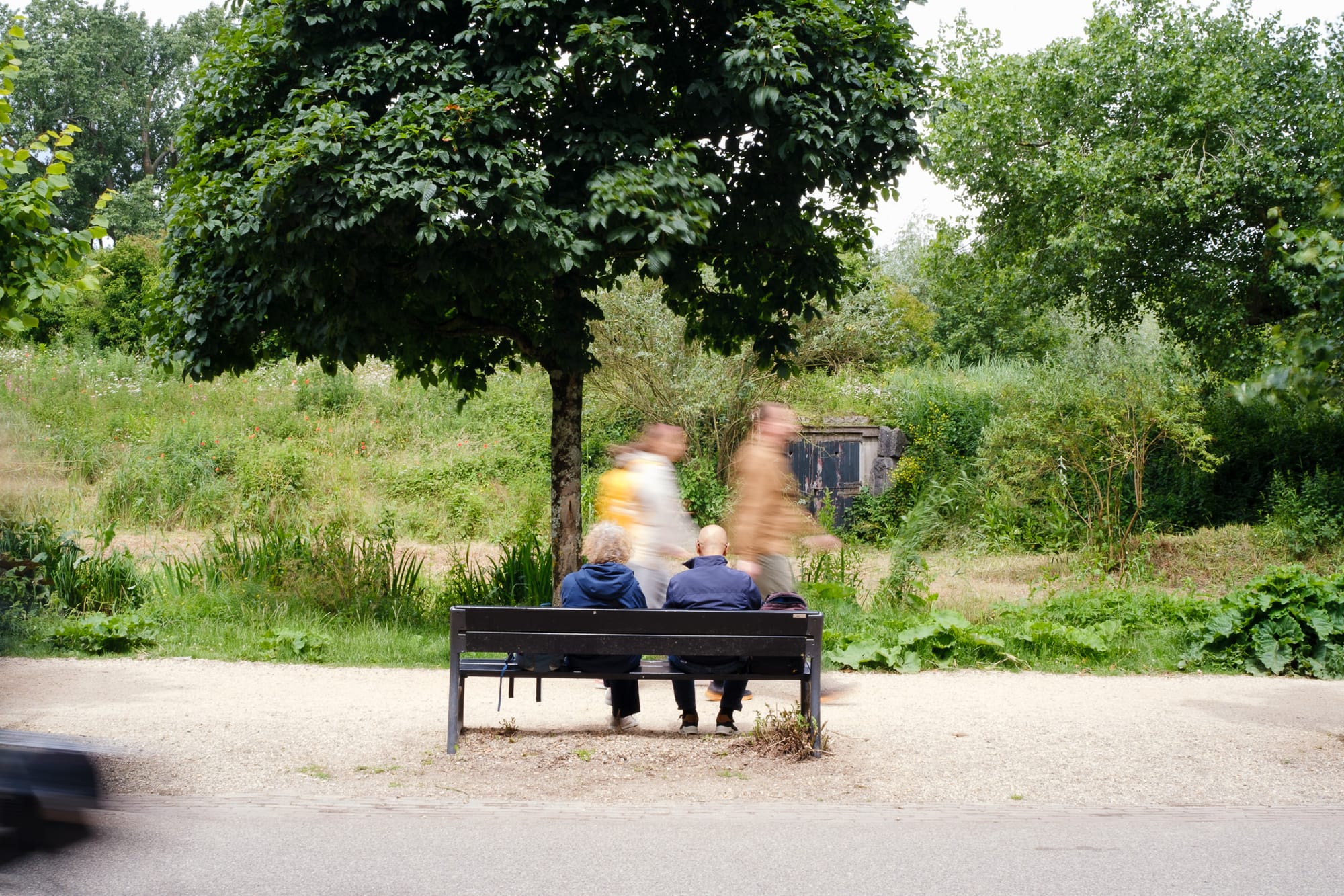 Two people sitting on a bench under a tree in an Amsterdam park, two others walking past in motion blur