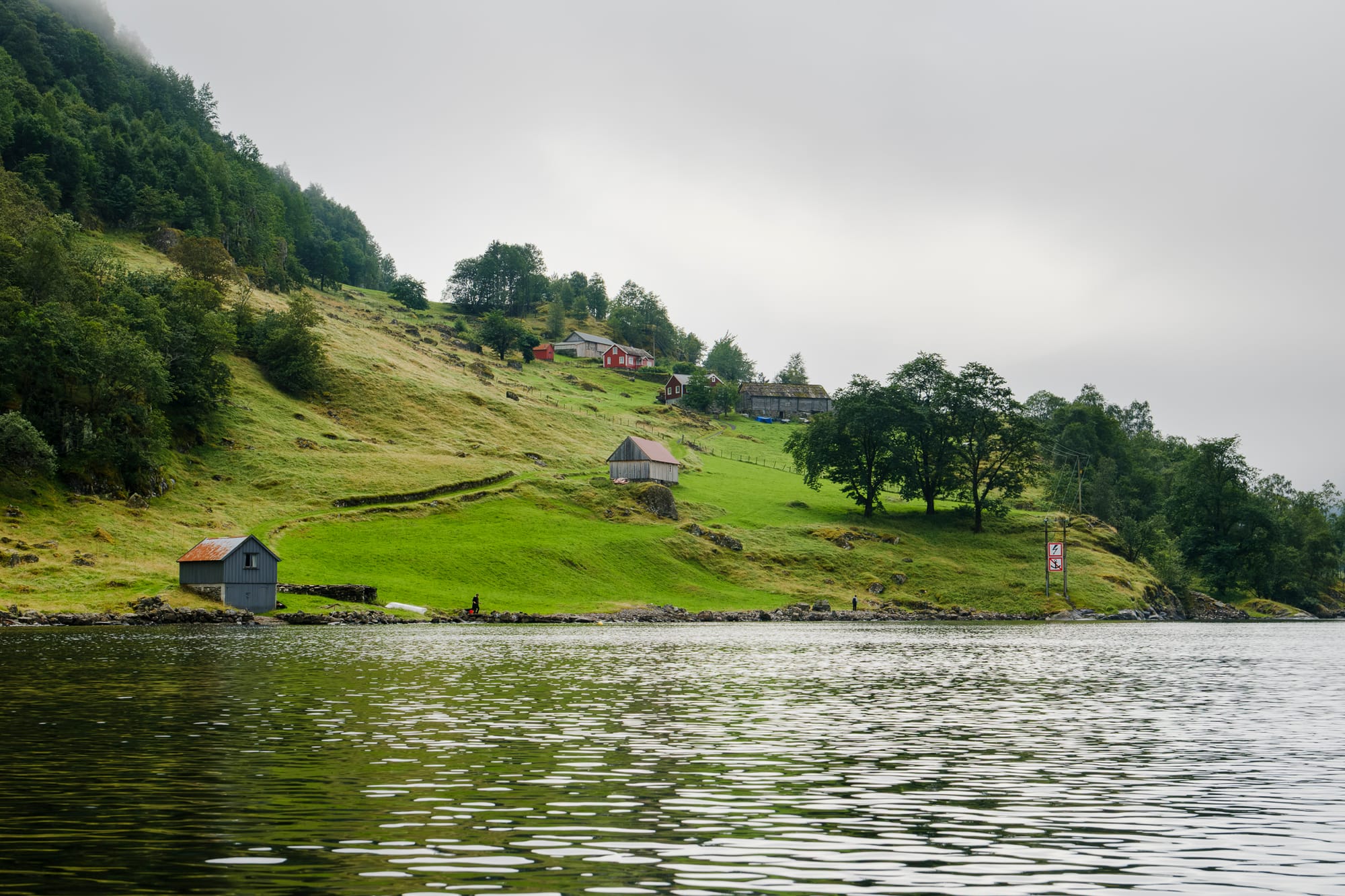 Small farm buildings on a green slope at the edge of the fjord, seen from the water.