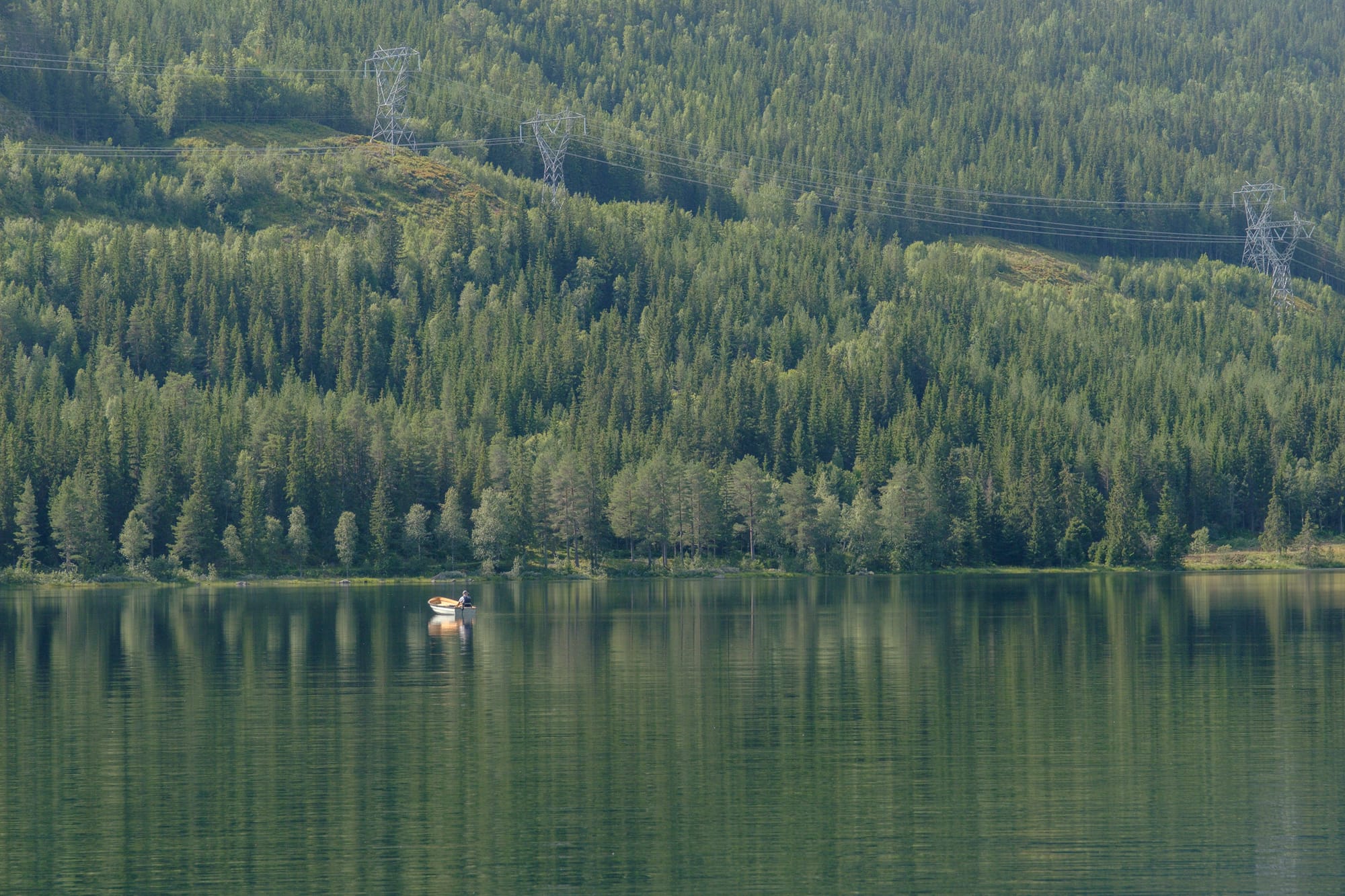 A small boat on a still green lake below a hillside of dense forest.