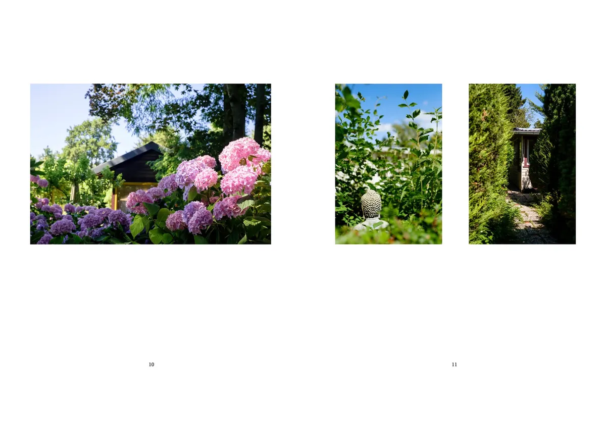 048 - Cutting, sorting, sequencing: making a photo book