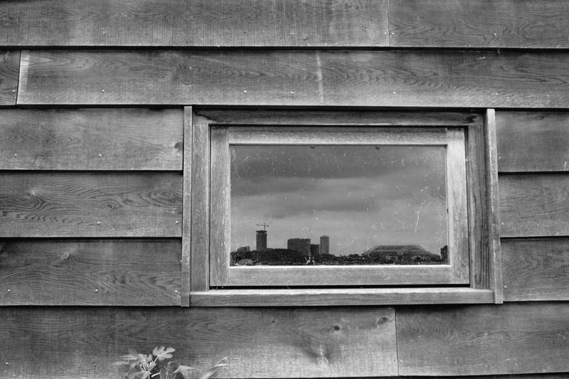 041 - How Instagram trained me to shoot vertical