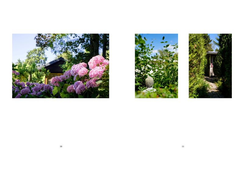 048 - Cutting, sorting, sequencing: making a photo book