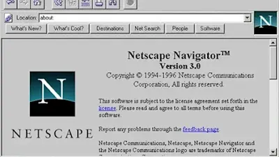Netscape browser page