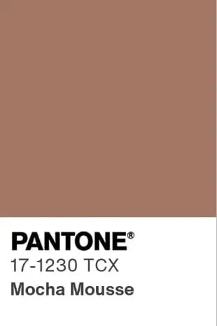 Color swatch PANTONE 17-1230 Mocha Mousse