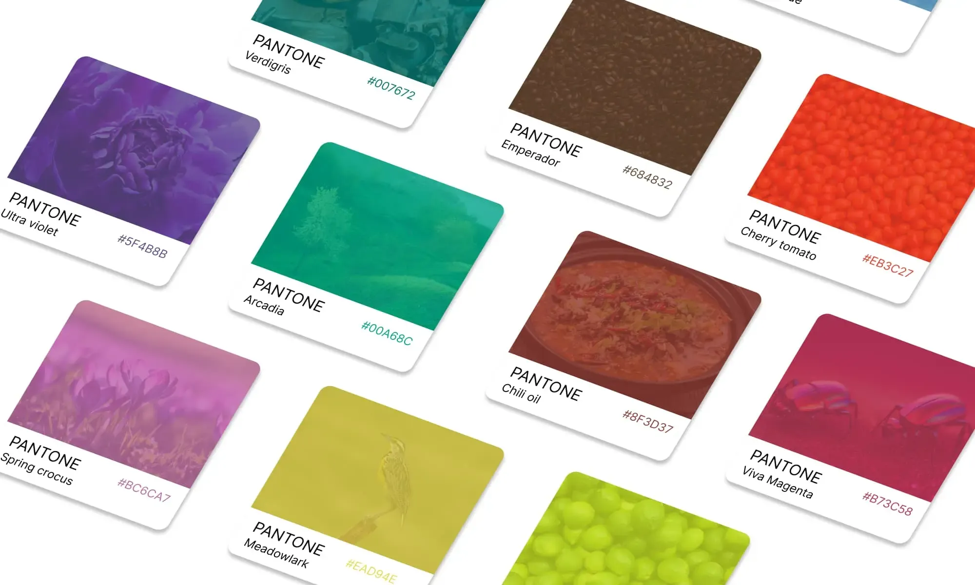 PANTONE colors