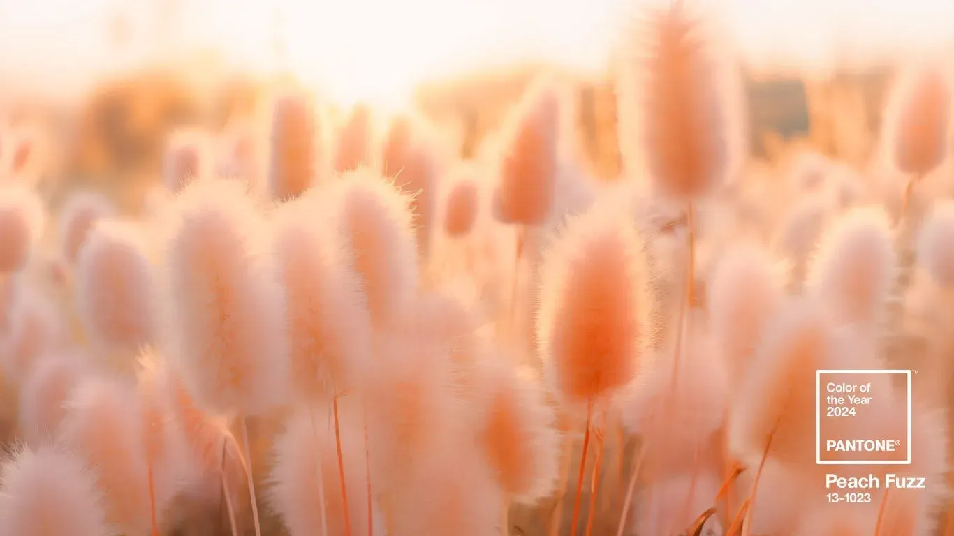 Color of the Year 2024, PANTONE Peach Fuzz 13-1023