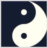Think Yin, Do Yang