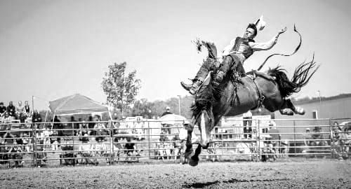 Neuro-Rodeo