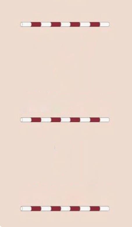 Canter Pole Exercise # 1