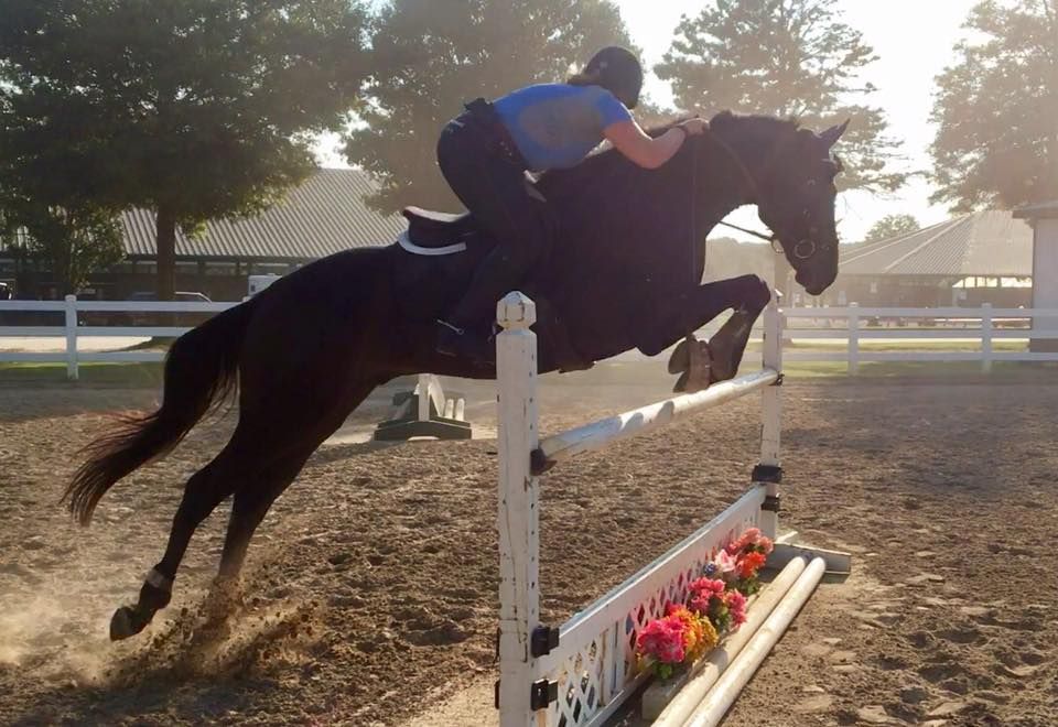 The Benefits of Jumping Fences at Sharp Angles