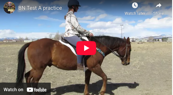 Video # 311 and Question # 329: Kayla is practicing BN test A, and has a few questions.