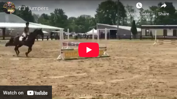 Video # 107 and Question # 321: Kellyn has a question about her lovely OTTB, along with a video