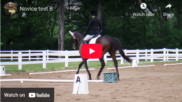 Video # 102: This is Kellyn, riding Novice level test B