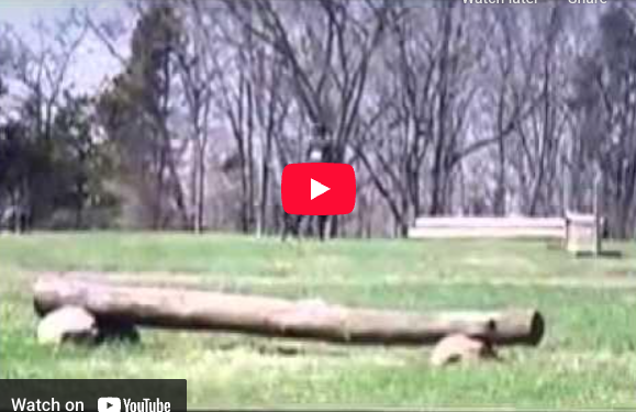 Video # 64: This is Kellyn!