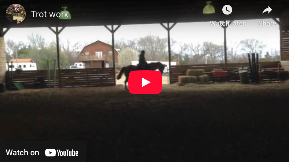 Video # 62, and Question # 191: I asked a Dressage Judge to score my horse's trot. She gave him a 6.5-7 at best. When I asked what we should try differently (this is a trainer/judge who knows both me and my horse) to get an 8, she said...