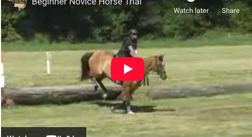 Video # 58: This is Catherine again!