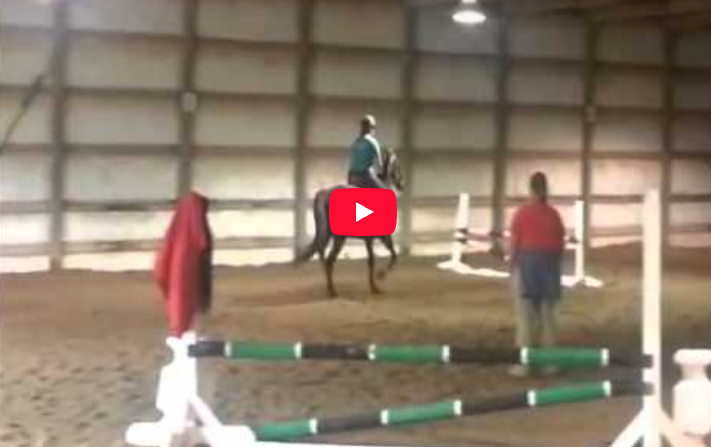 Video # 36: Kayla has a question about how to help her horse get back to the same form she had pre injury.