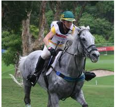 How to Safely Pull Your Horse Up at the End of Cross Country