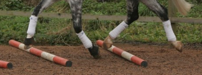 Advanced Trot Pole Exercise # 3