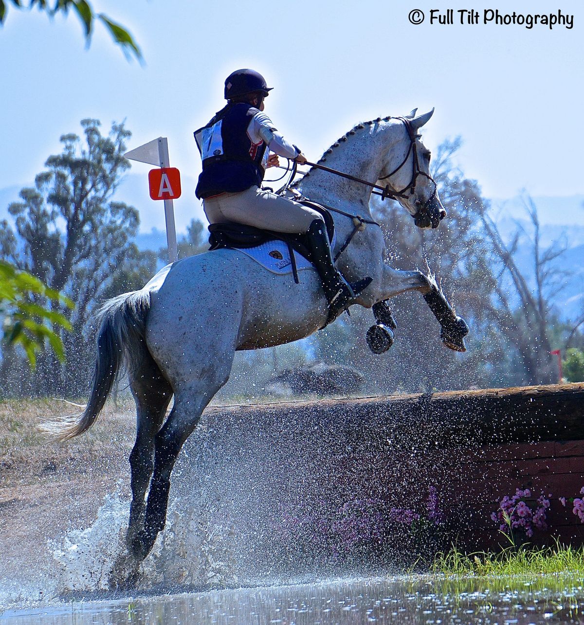 Everything You Need to Know About Jumping Up a Bank