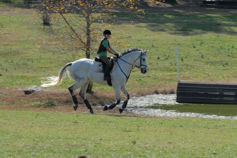 The Horse That Carries Tension in its Back