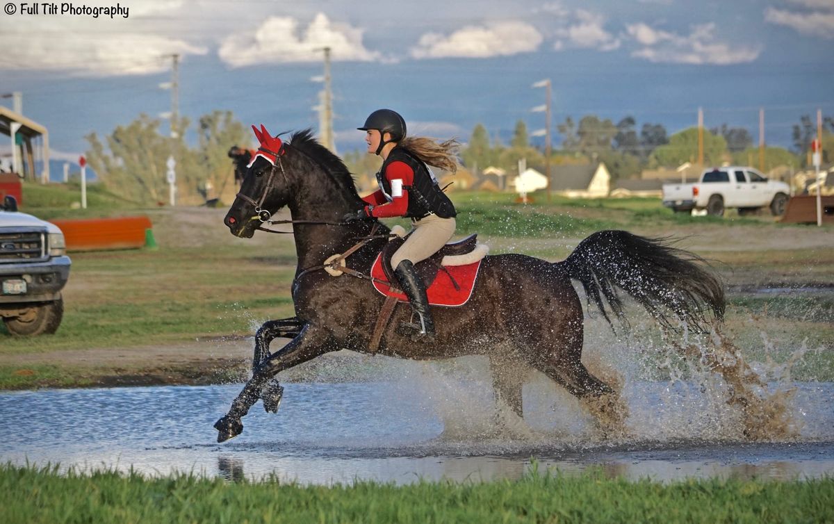 Practice This the Next Time You Go Cross Country Schooling!