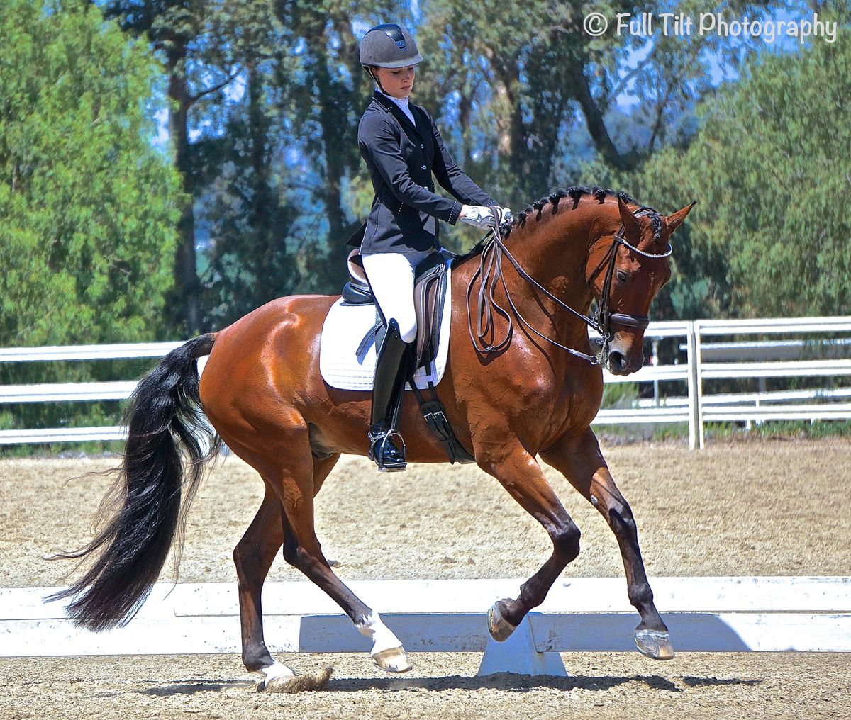 Does Your Horse Pick Up the Canter With His Haunches In?