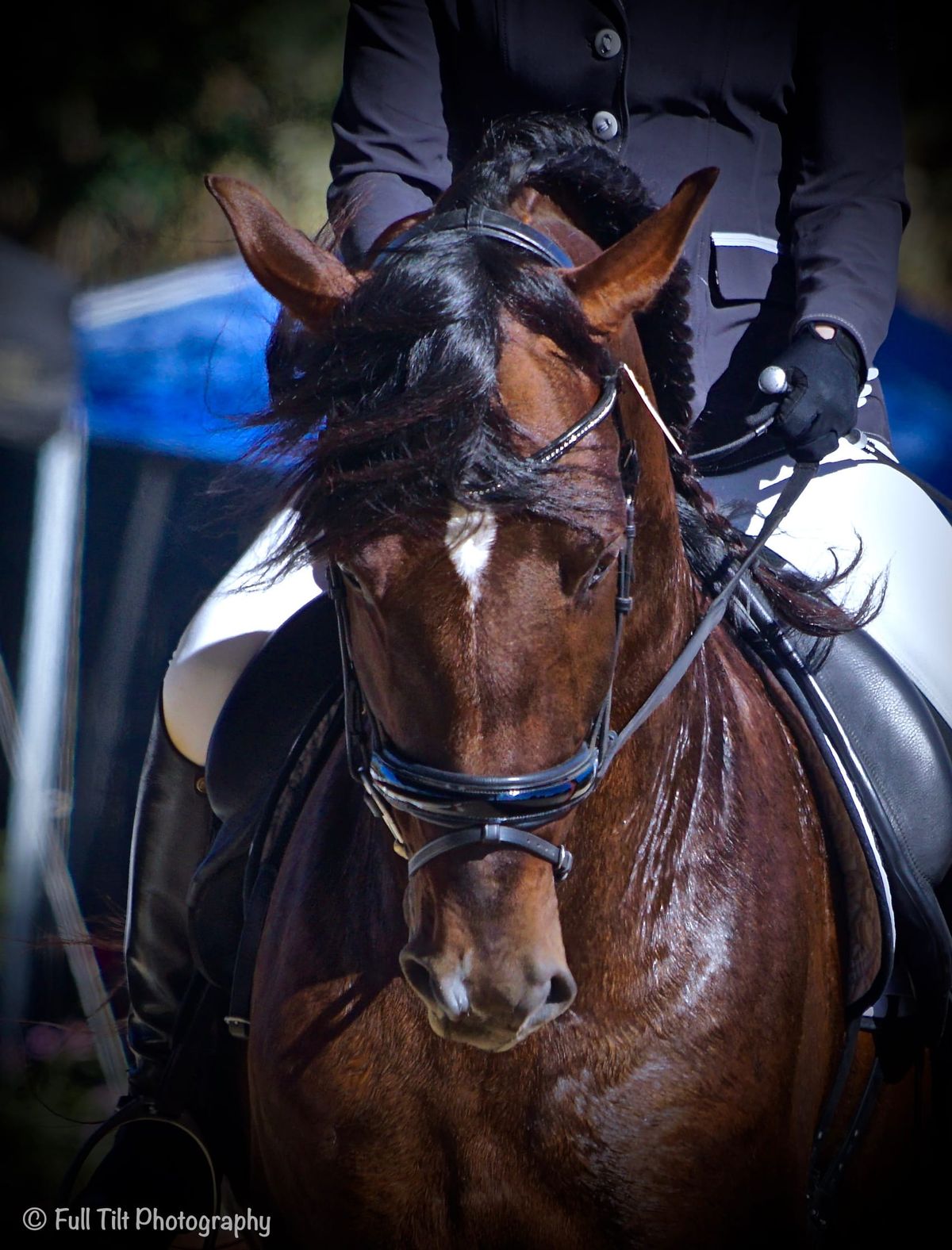 The "Shoulder Yield" Exercise