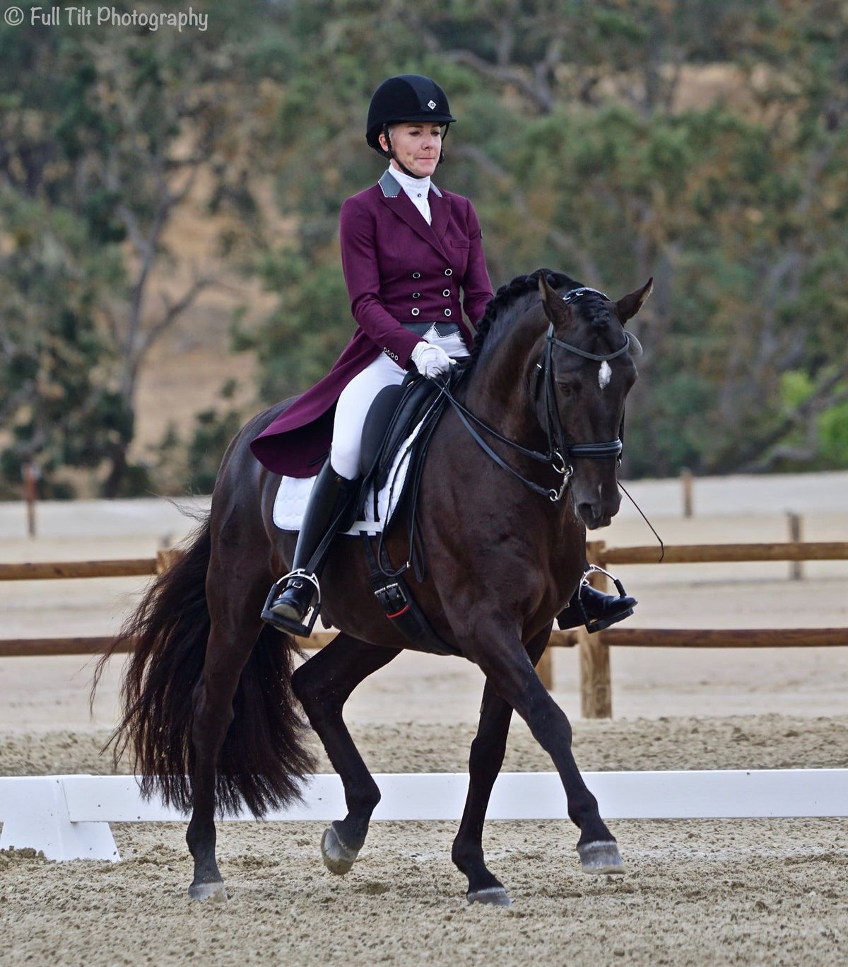 Trot Lengthenings