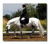 Improving Your Score in the Free Walk