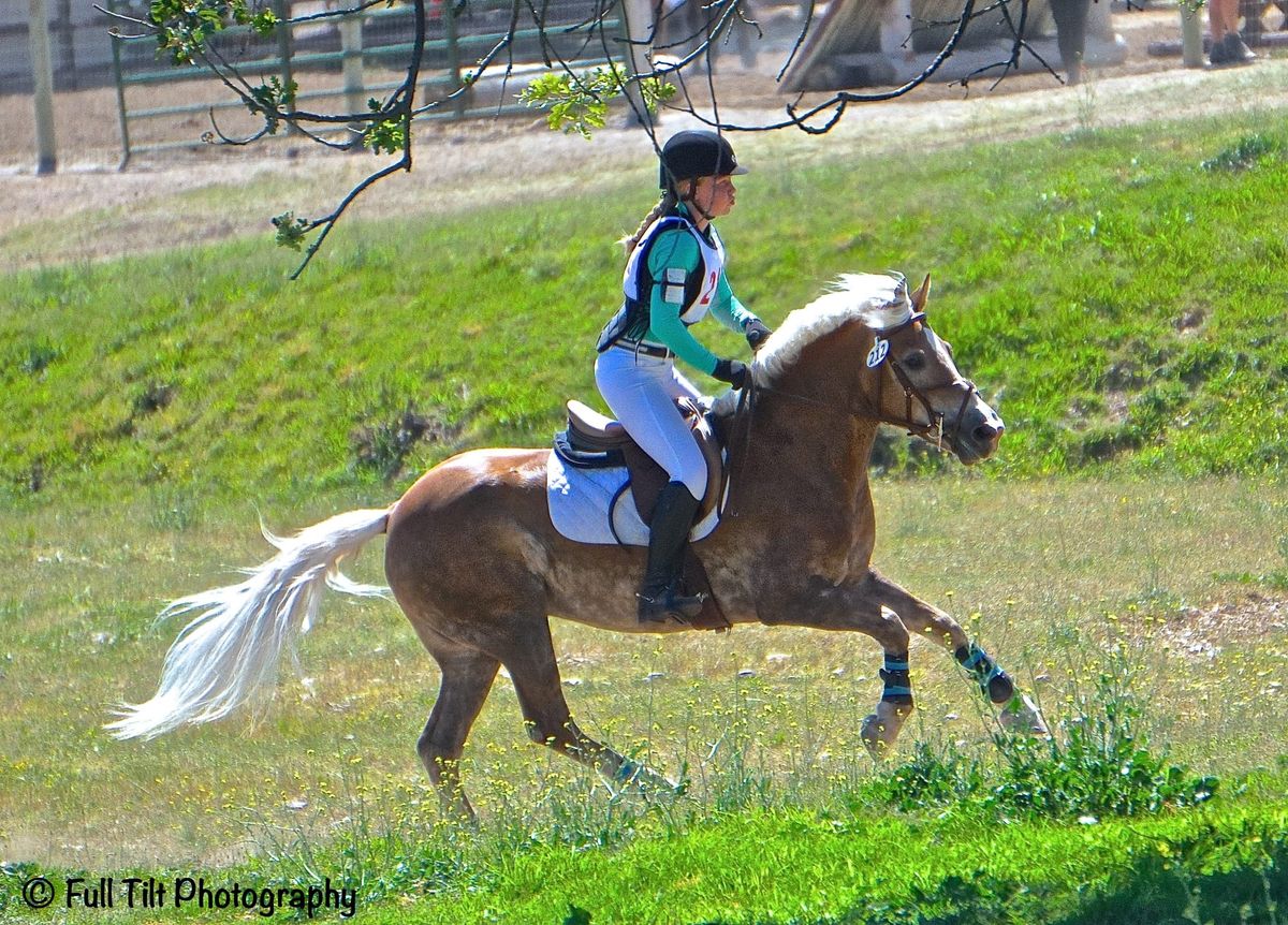 How Many Gears Do You Have in the Canter?
