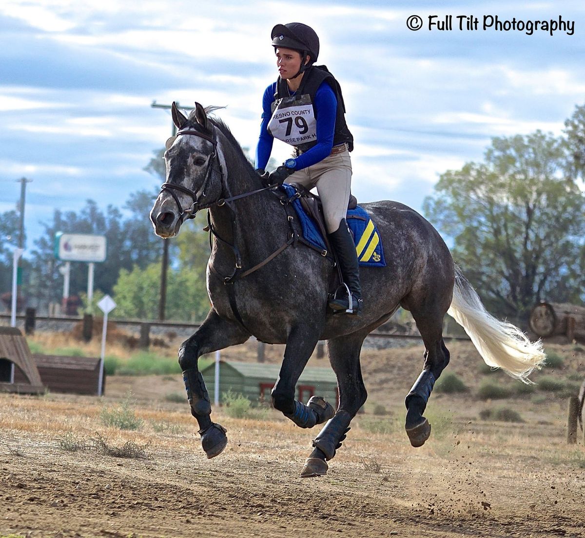 How to Train for Self Carriage at the Gallop