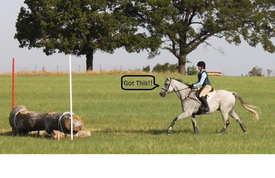 Building Horse and Rider Confidence