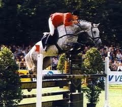 The Horse That Jumps TOO High