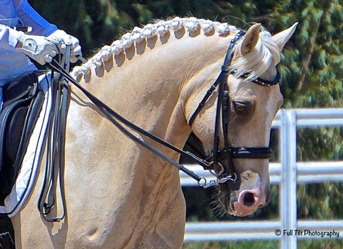 An Exercise to Improve Your Ability to Coordinate Your Aids